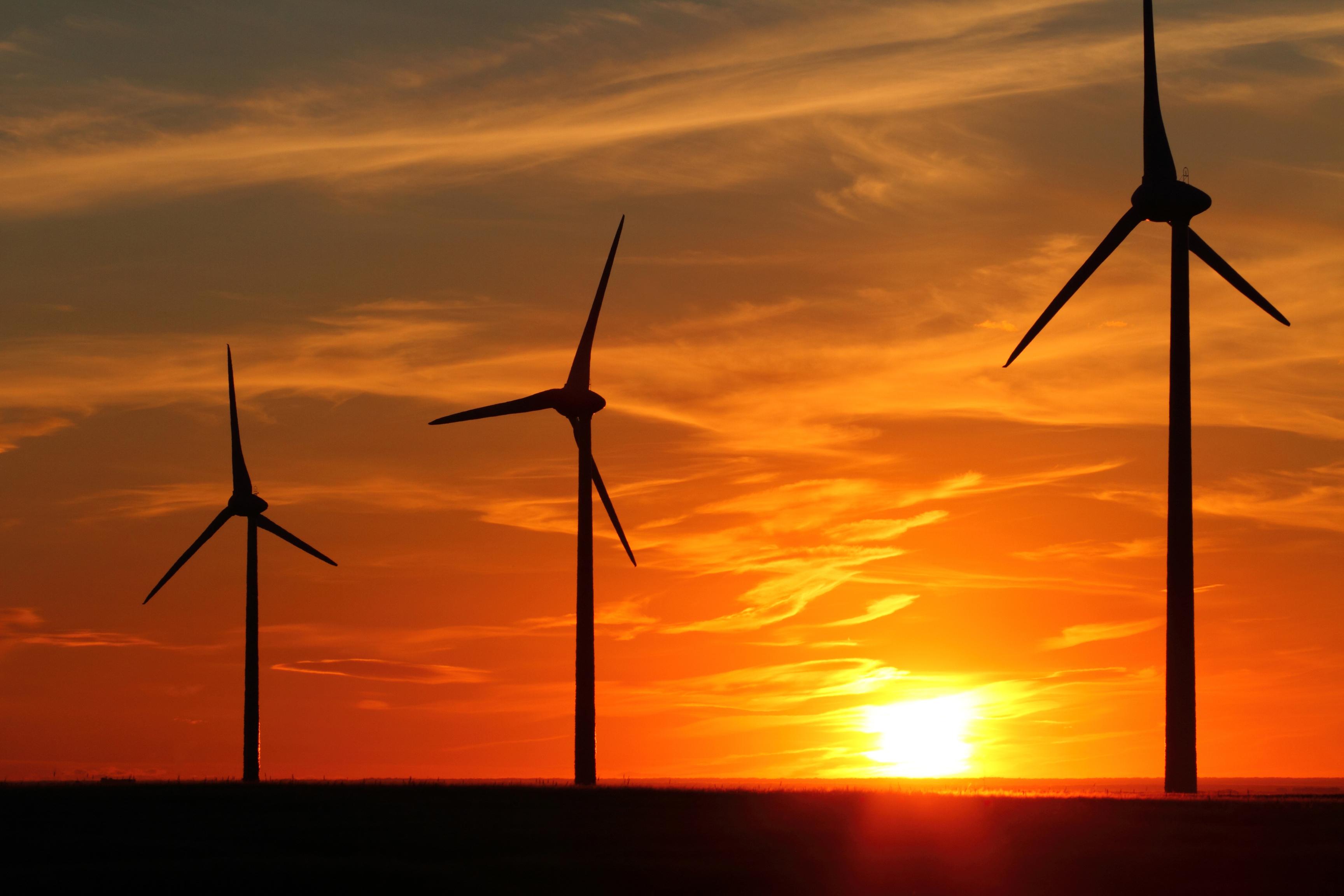 Windmills in the sunset